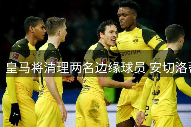 皇马将清理两名边缘球员 安切洛蒂明确表态弃用